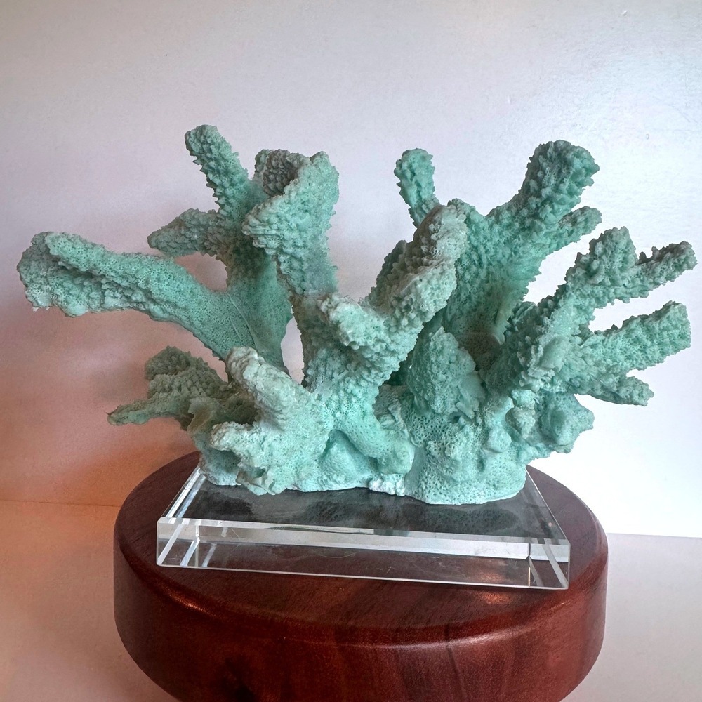 Vintage‎ Style Faux Coral Sculpture on Acrylic Base Coastal Decor